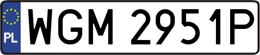 WGM2951P