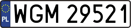 WGM29521