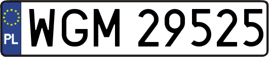 WGM29525