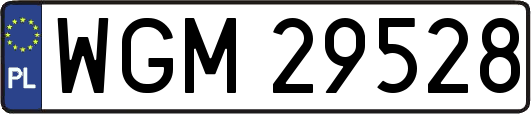 WGM29528