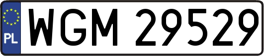 WGM29529