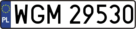 WGM29530