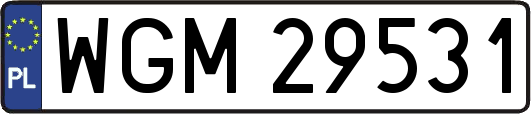 WGM29531