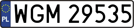 WGM29535