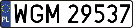 WGM29537