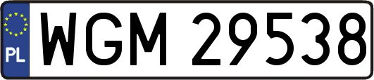 WGM29538