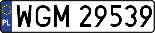 WGM29539