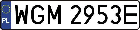 WGM2953E