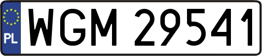 WGM29541