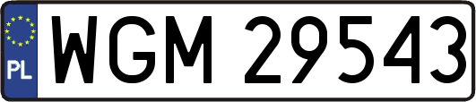WGM29543
