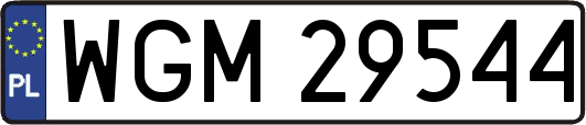 WGM29544