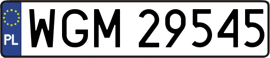 WGM29545