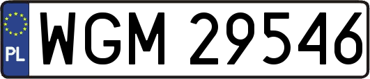 WGM29546