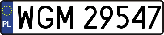 WGM29547