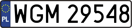 WGM29548