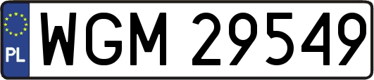 WGM29549