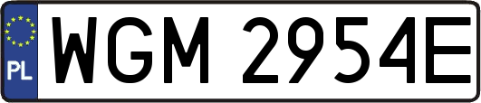 WGM2954E
