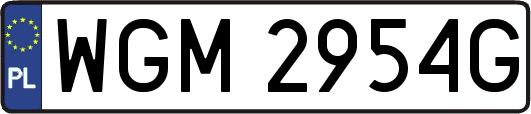 WGM2954G
