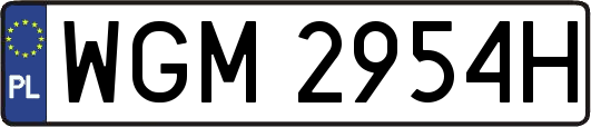 WGM2954H