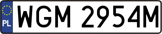 WGM2954M