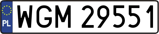 WGM29551