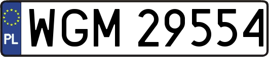 WGM29554