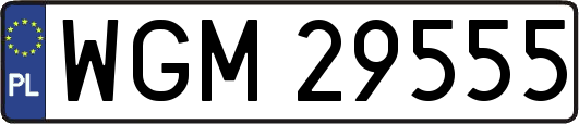 WGM29555