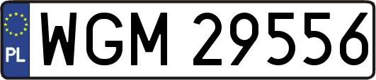 WGM29556