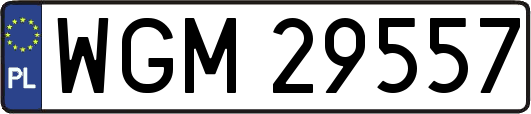 WGM29557