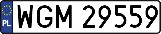WGM29559