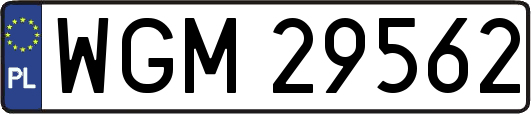 WGM29562