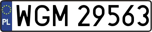 WGM29563