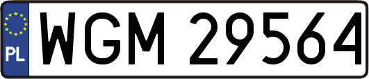 WGM29564