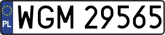 WGM29565