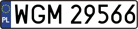 WGM29566