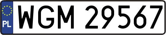 WGM29567