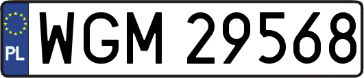 WGM29568