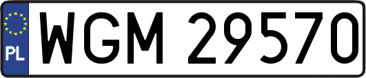 WGM29570