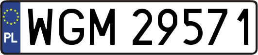 WGM29571