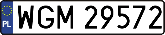 WGM29572