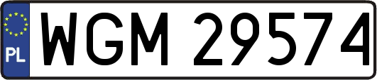 WGM29574