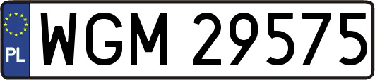 WGM29575