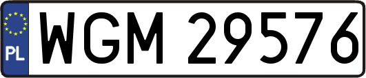 WGM29576