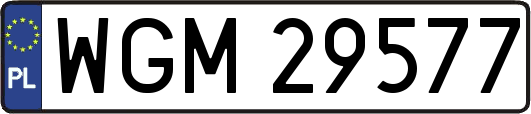 WGM29577
