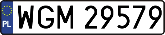 WGM29579