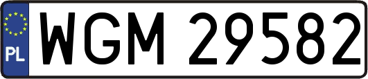 WGM29582