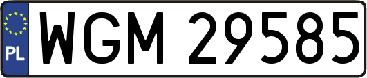 WGM29585