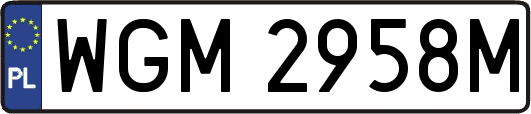 WGM2958M