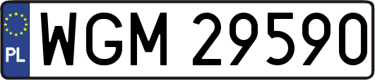 WGM29590