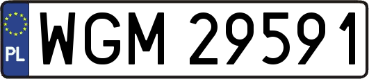 WGM29591